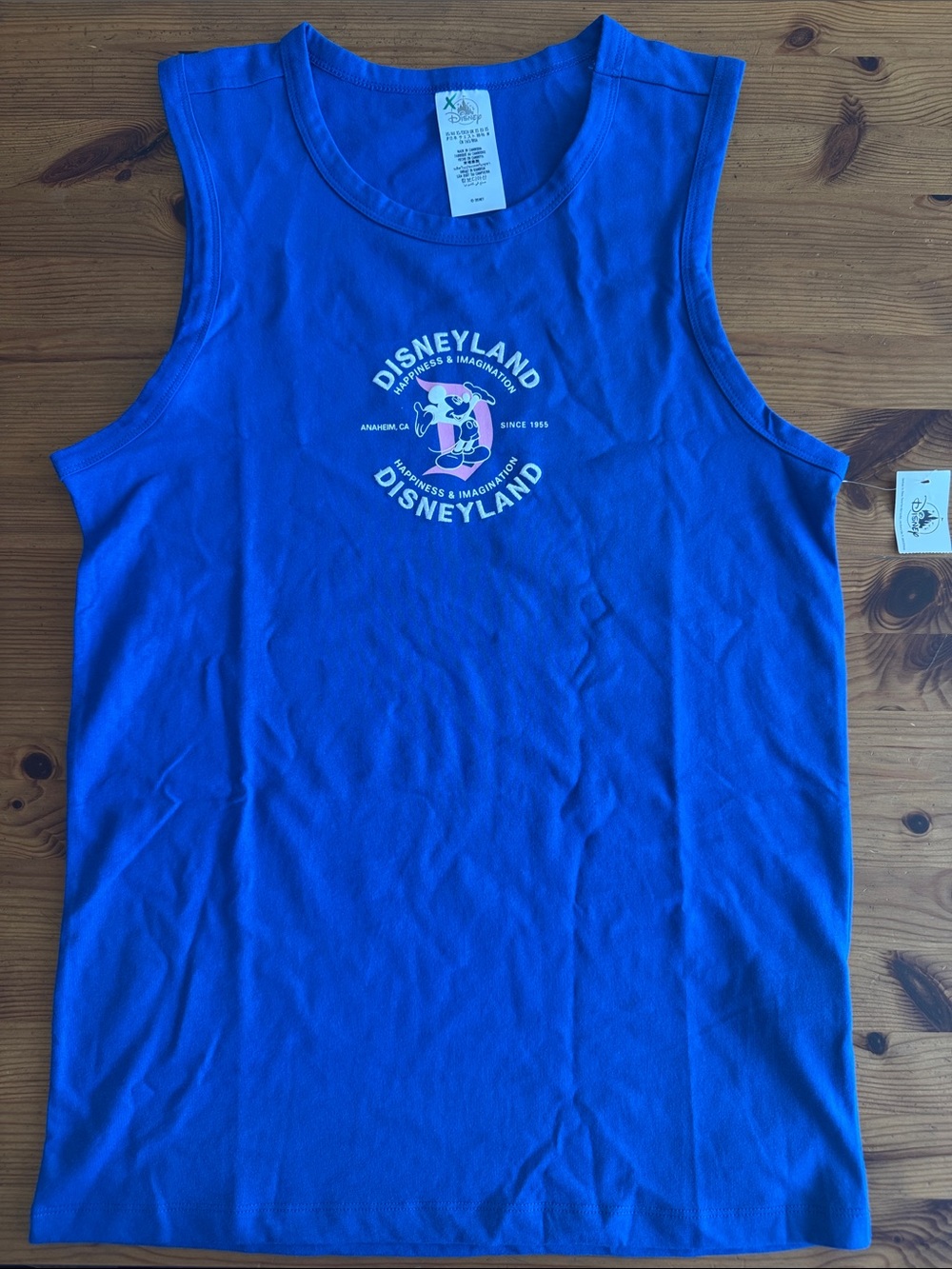 Disney Disneyland Resort Blue Sleeveless Tank Top with Happiness & Imagination